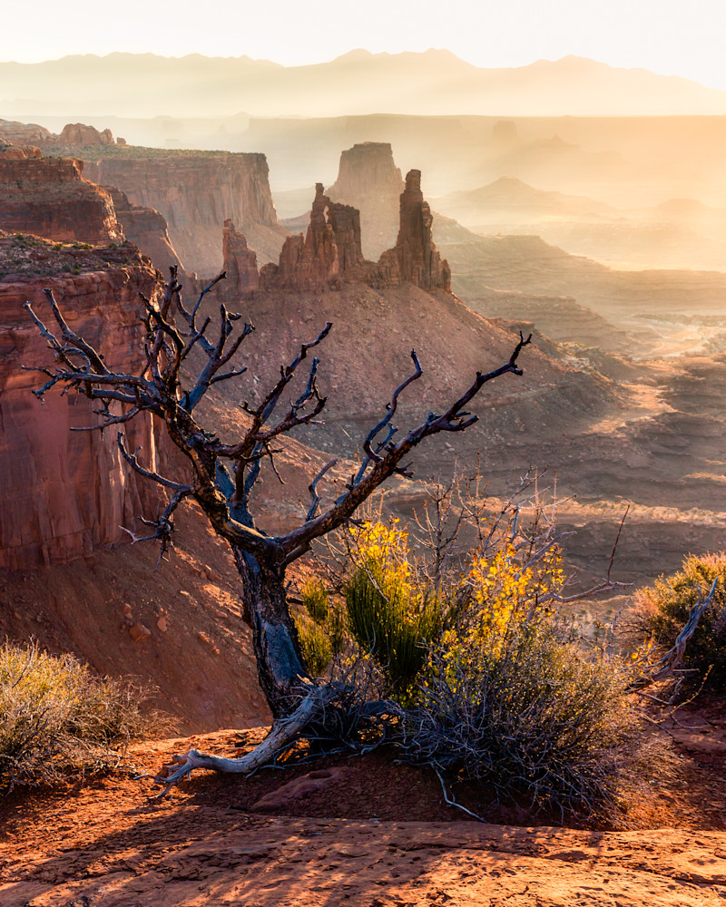 Canyonlands I   "Reach" Photography Art | Michael Schober Photography