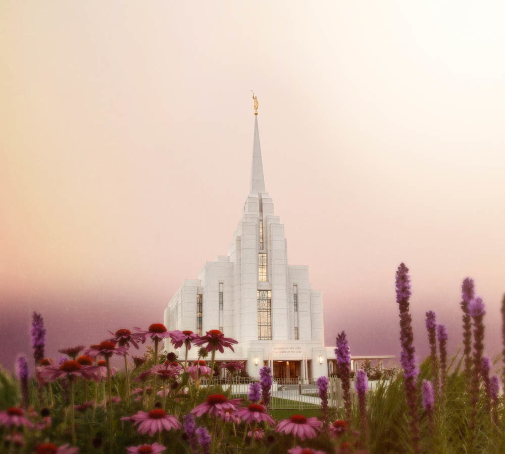 Temple silks and top