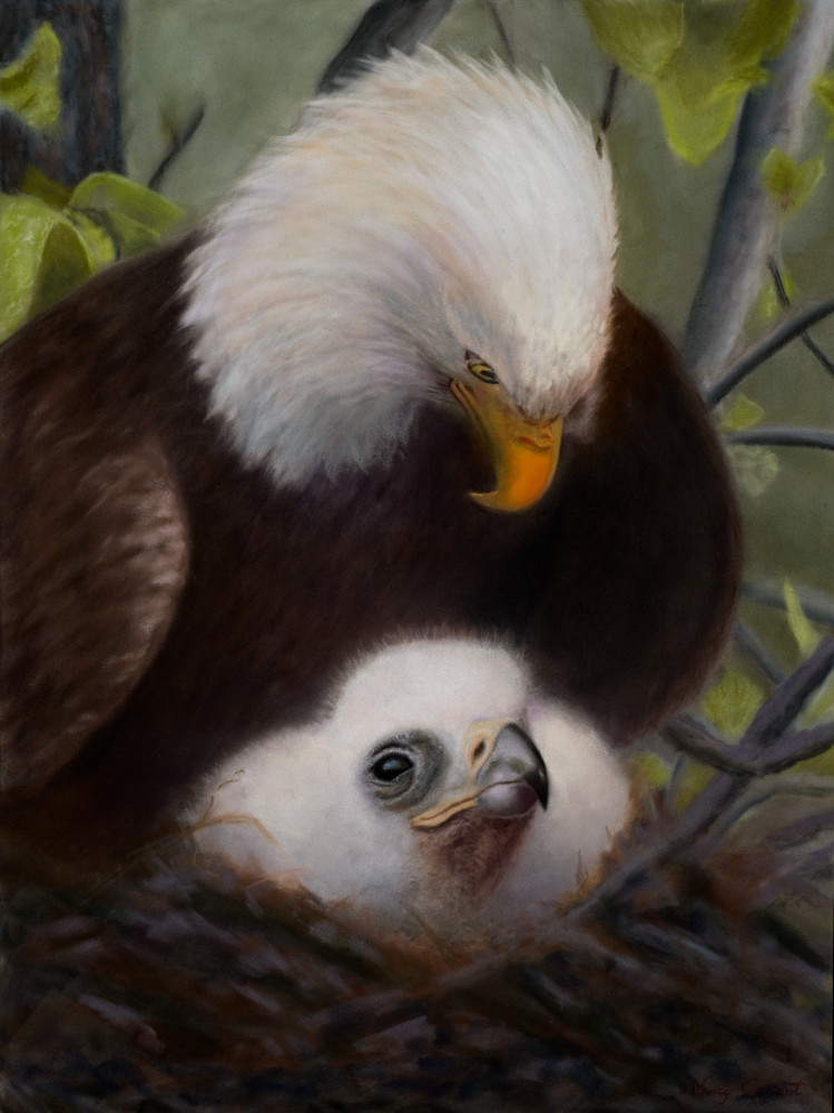 Beneath the Shadow of His Wings by Nancy Conant is a beautiful depiction of an eagle protecting its young. 
