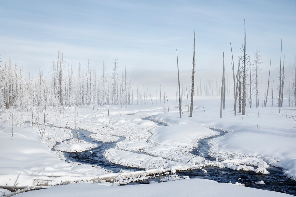 Streams Flowing Into Snow Field S6 A6544 Yellowstone National Park Wy Usa Photography Art | Clemens Vanderwerf Photography