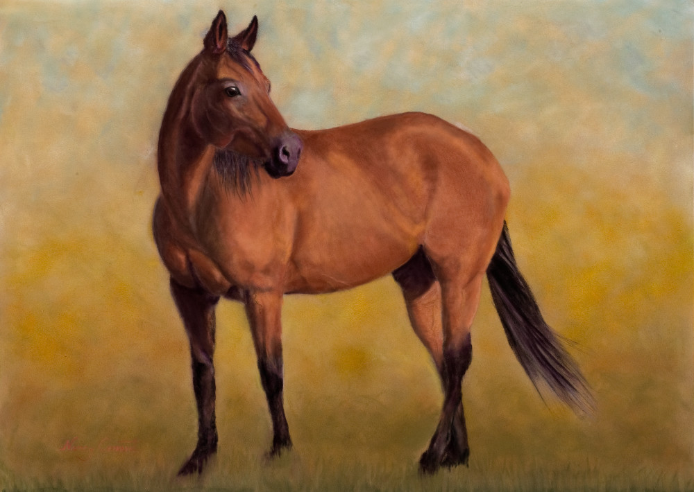 Lark the bay quarter horse by Nancy Conant