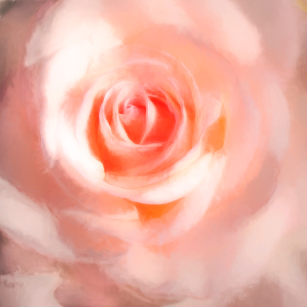 Pearlescent Rose