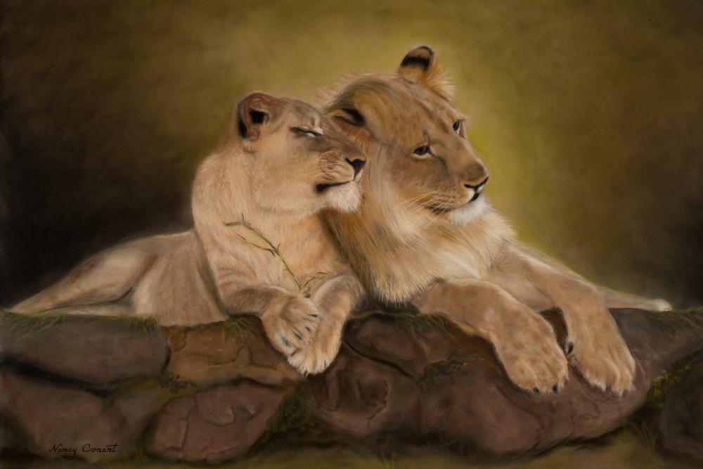 Giovane Amore – Young Love by Nancy Conant is the embodiment of lion love.