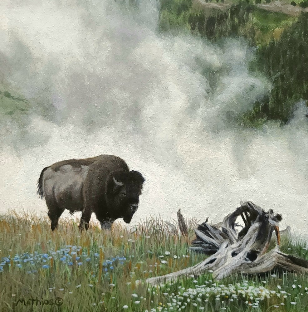 Peter Mathios - Geyser Basin and Bison