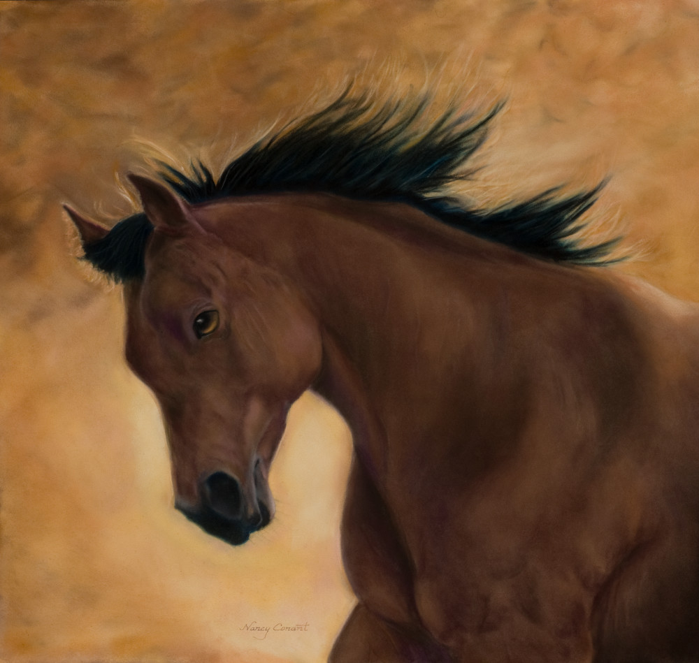 My Girl Lark by Nancy Conant is a Bay mare horse 