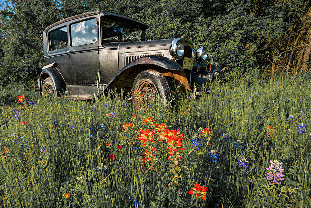 Ford Model A In Wildflowers Photography Art | John Kennington Photography