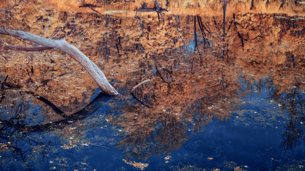 Sycamore Branch, Reflections, Dry Creek, Yuba County, California Photography Art | davidarnoldphotographyart.com