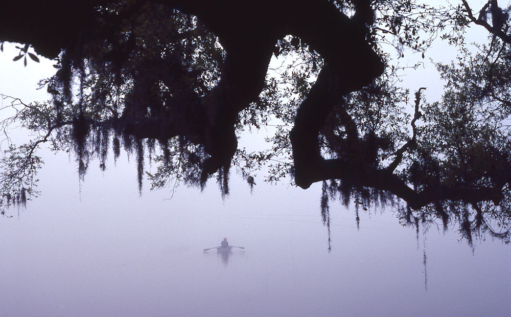 The Great Dismal Swamp on a Misty Morning