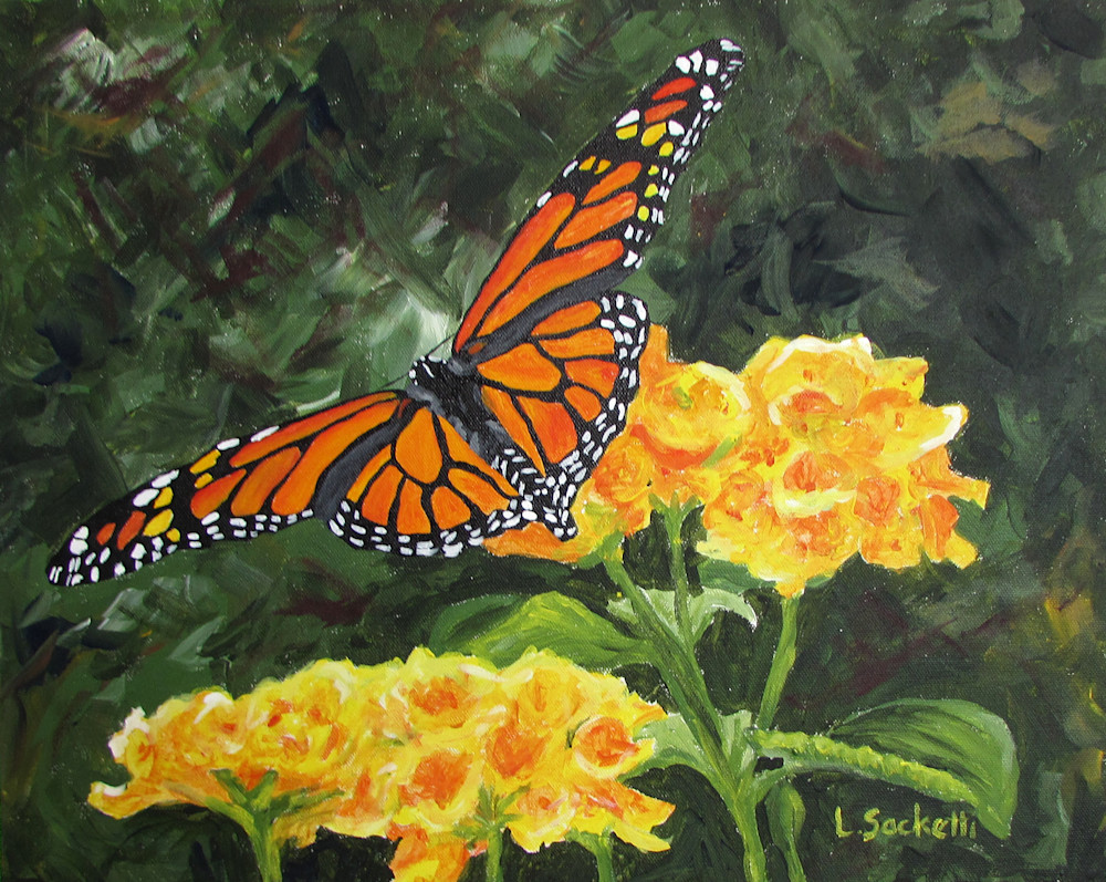 fluttering through summer monarch prints and merchandise | Linda Sacketti
