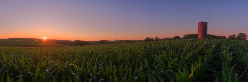 Iowa Cornfield and Rolling Hills
