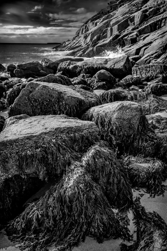 Rocks along the craggy coast of Maine