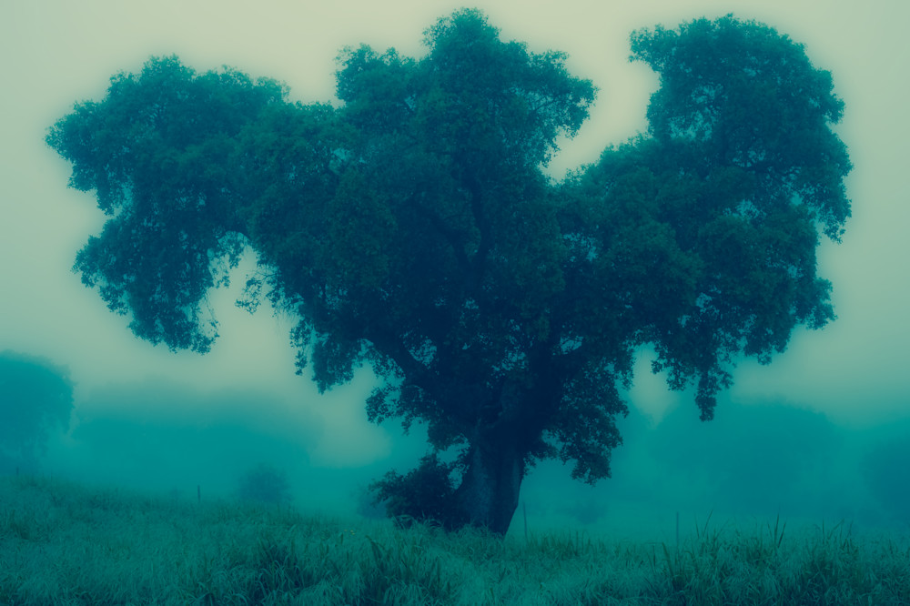 Blue Tree