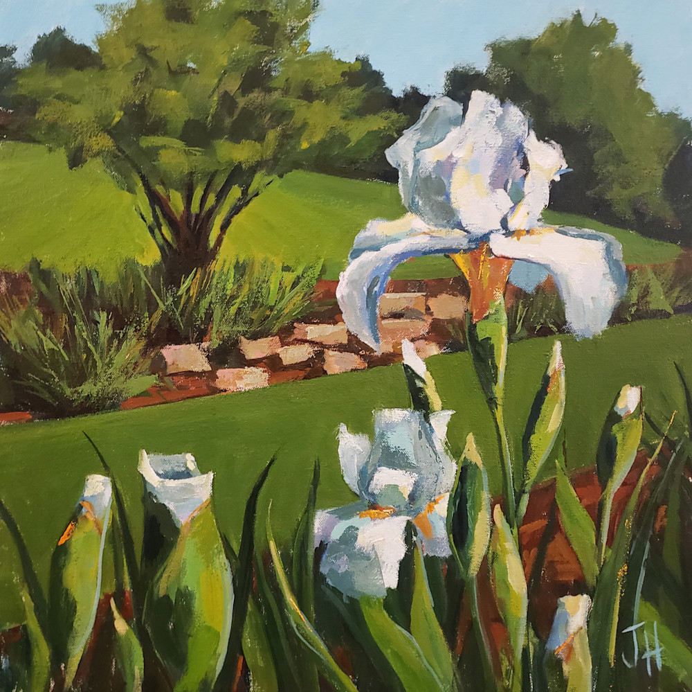 Presby Iris Garden Iv  Art | Jenn Hallgren Artist