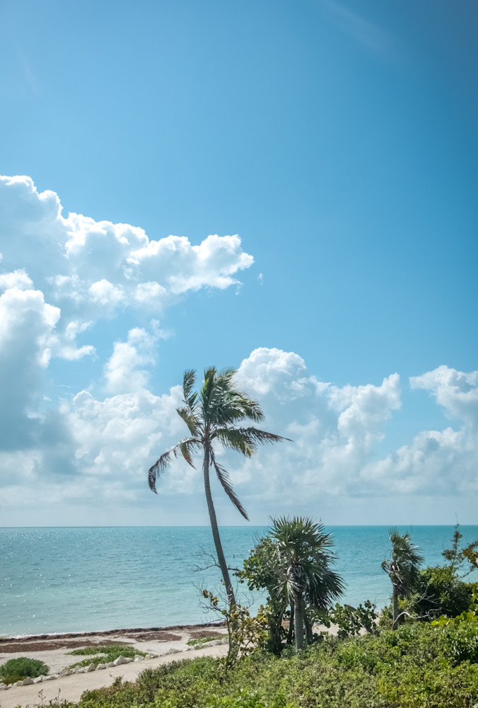 Sea, Clouds And Palm Trees, Coastal Series Photography Art | Morgane Mathews Fine Art Photography