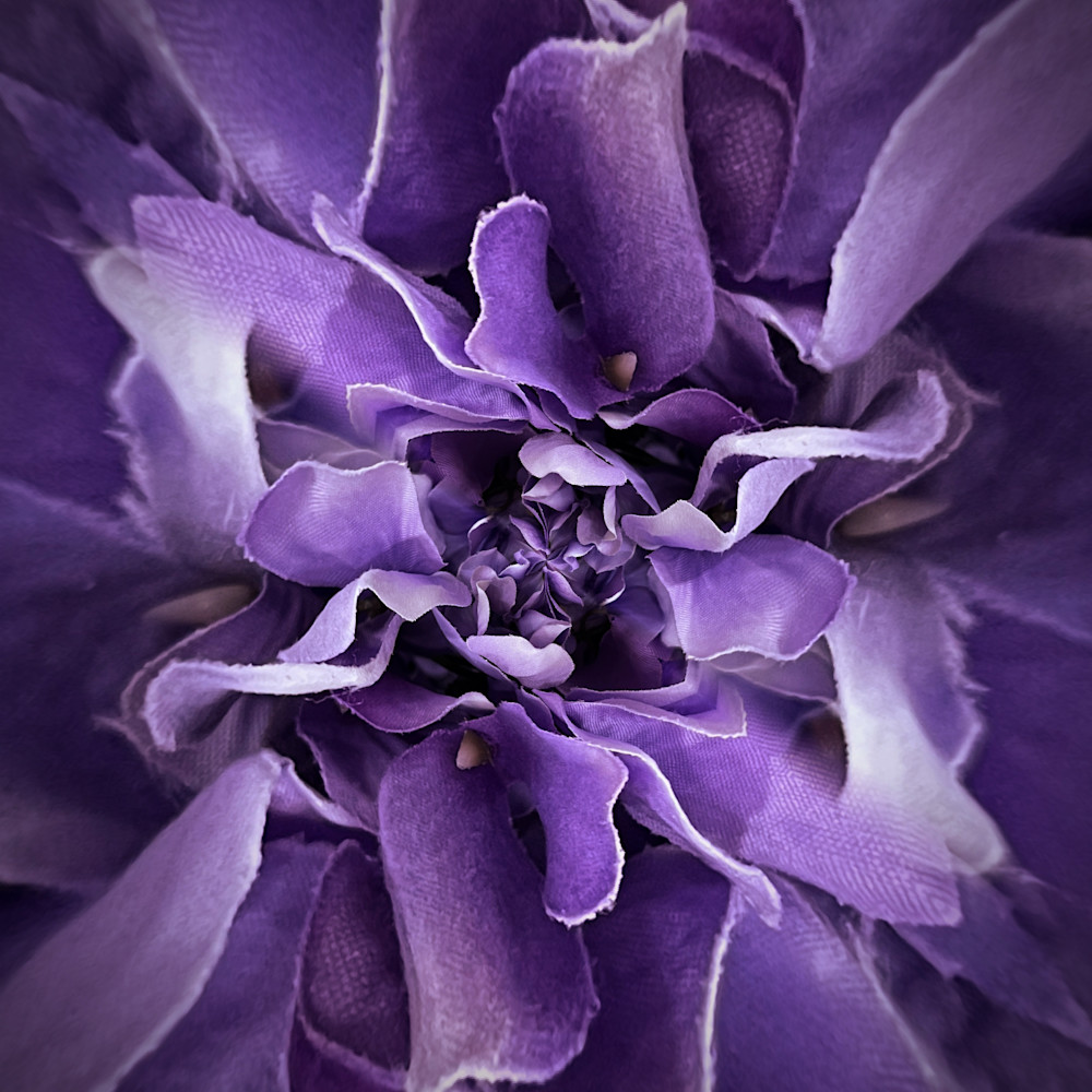 Circular Hydrangea Photography Art | Kathleen Messmer Photography