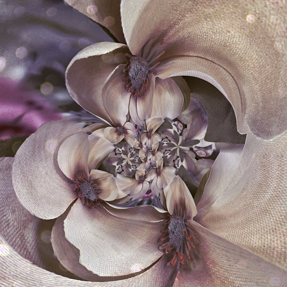 Circular Magnolia Photography Art | Kathleen Messmer Photography