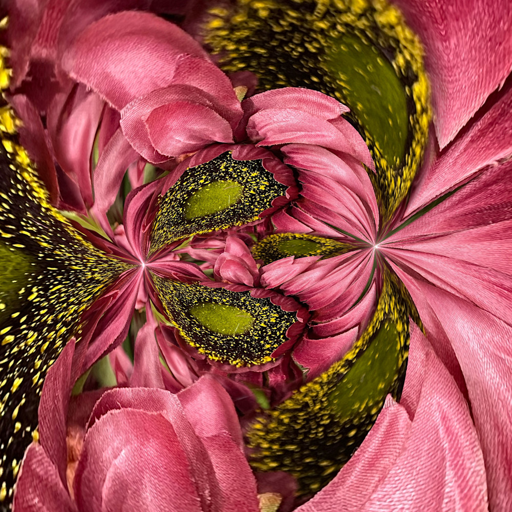 Circular Pink And Gold Photography Art | Kathleen Messmer Photography