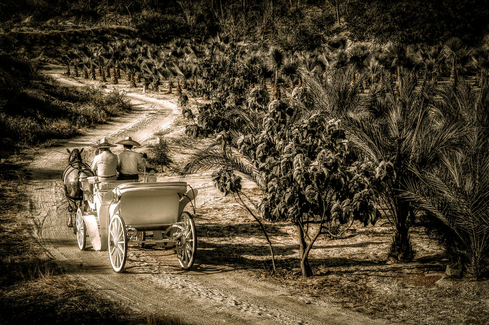 Carriage Ride To The Past Photography Art | Karen O'Shaughnessy Photography