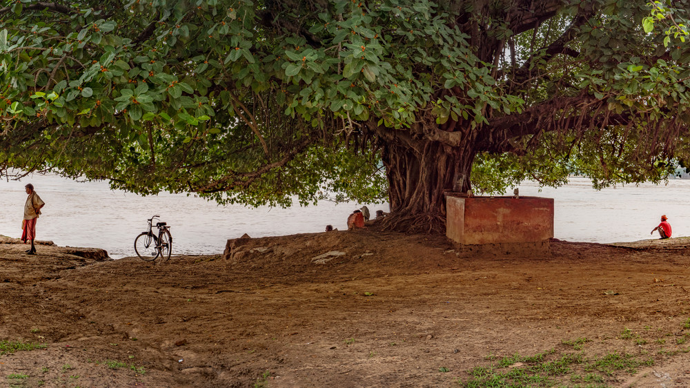 Under A Banyan Tree At Rajghat, Varanasi, Uttar Pradesh, India Photography Art | davidarnoldphotographyart.com