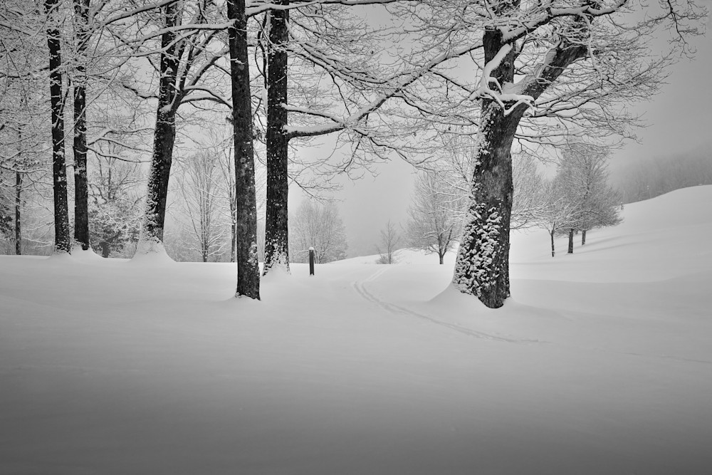 Stopping By The Woods On A Snowy Evening 6863 Art | Kullman Visual Arts