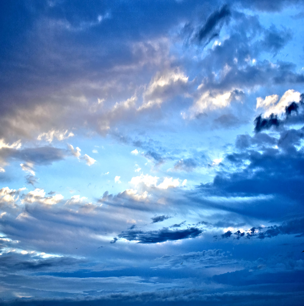 March Photography Art | Set2Rize Images