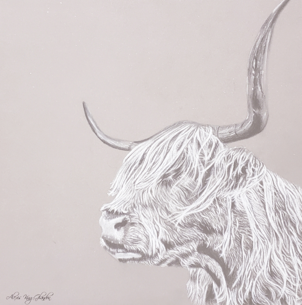 Scottish Highland Profile Art | Alexis King Artworks 