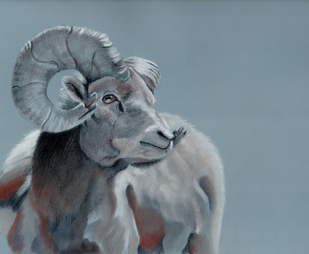 Slate Blue Ram Art | Alexis King Artworks 