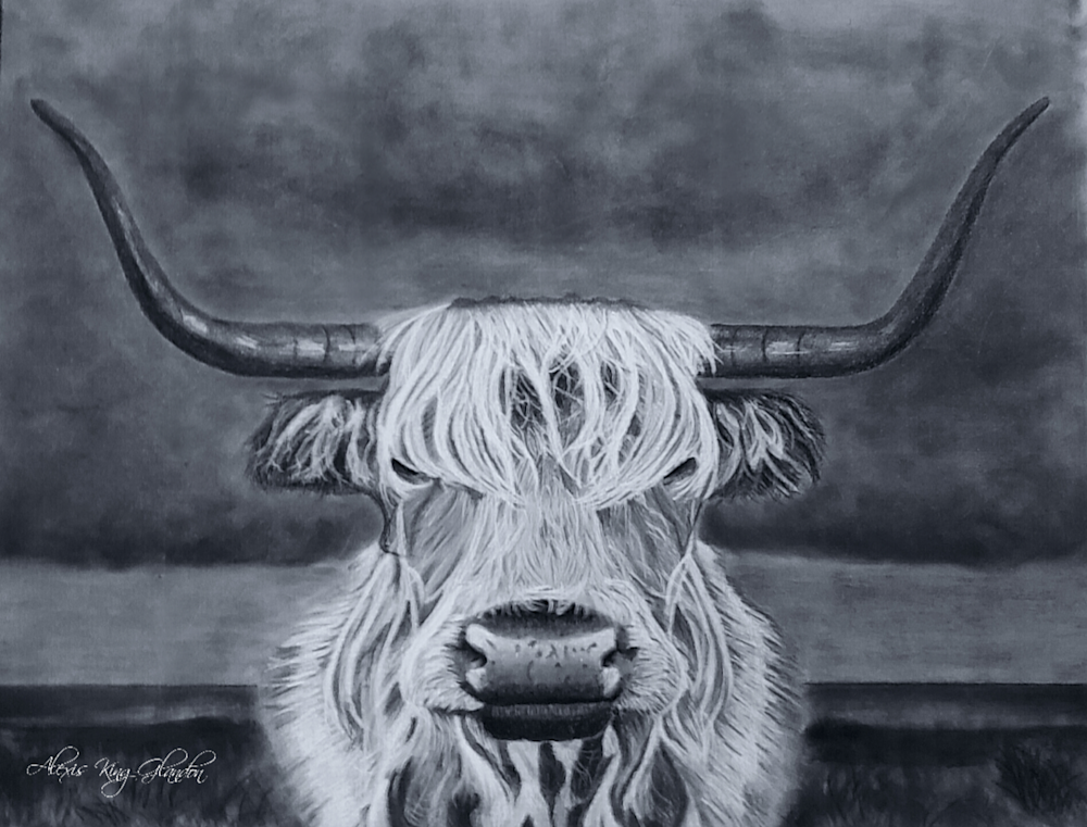 Moody Highland Cow Art | Alexis King Artworks 