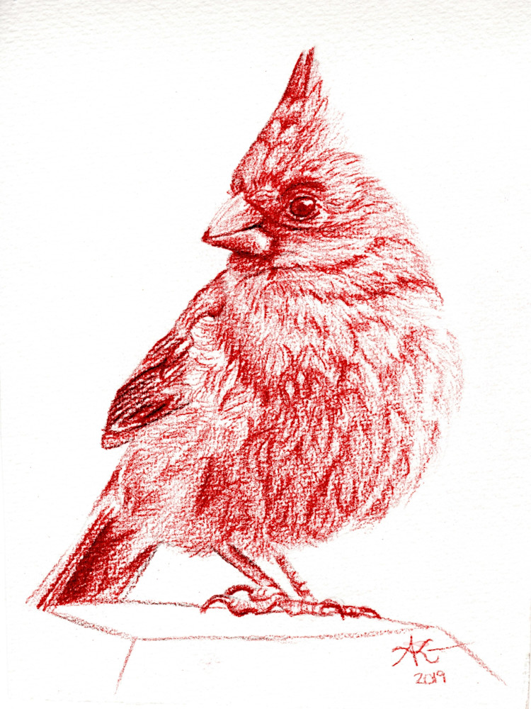 Red Cardinal Art | Alexis King Artworks 
