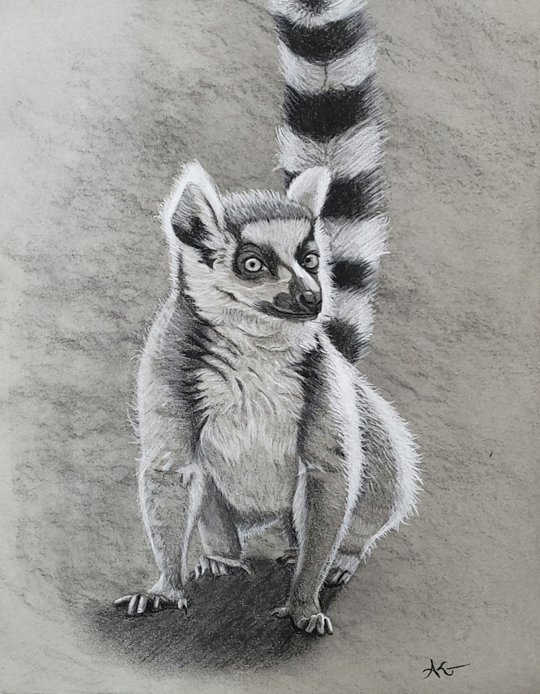 Lemur Art | Alexis King Artworks 