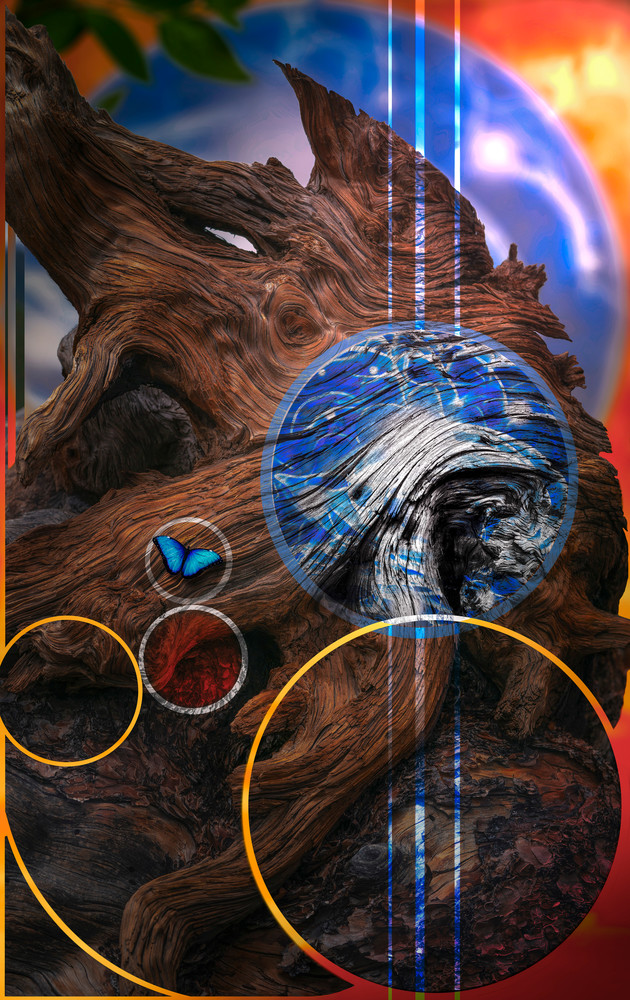 Learning To Fail Photography Art | Kindle Bard Studio