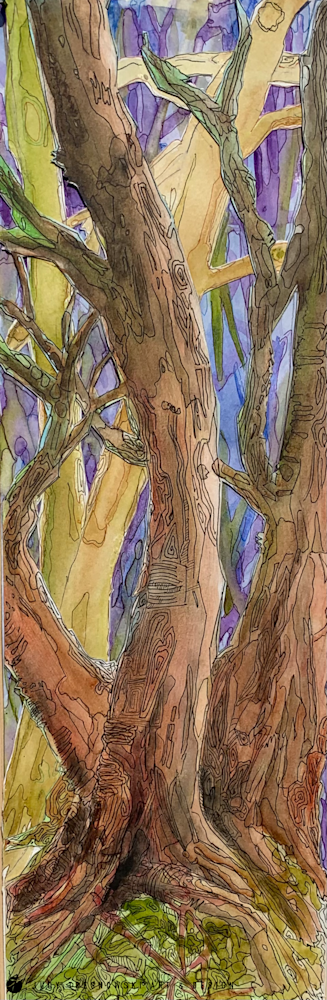 Door County Trees