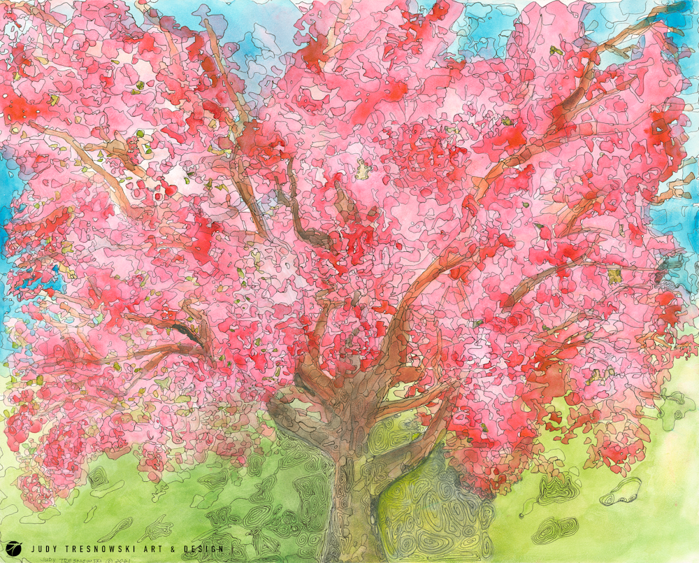 Cherry Blossom Trees 