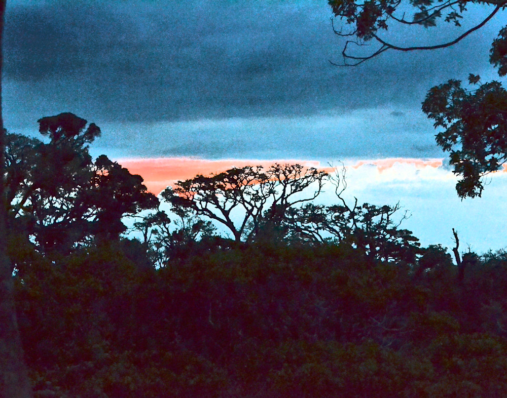 Sunset In The Jungle Photography Art | Photo Folk