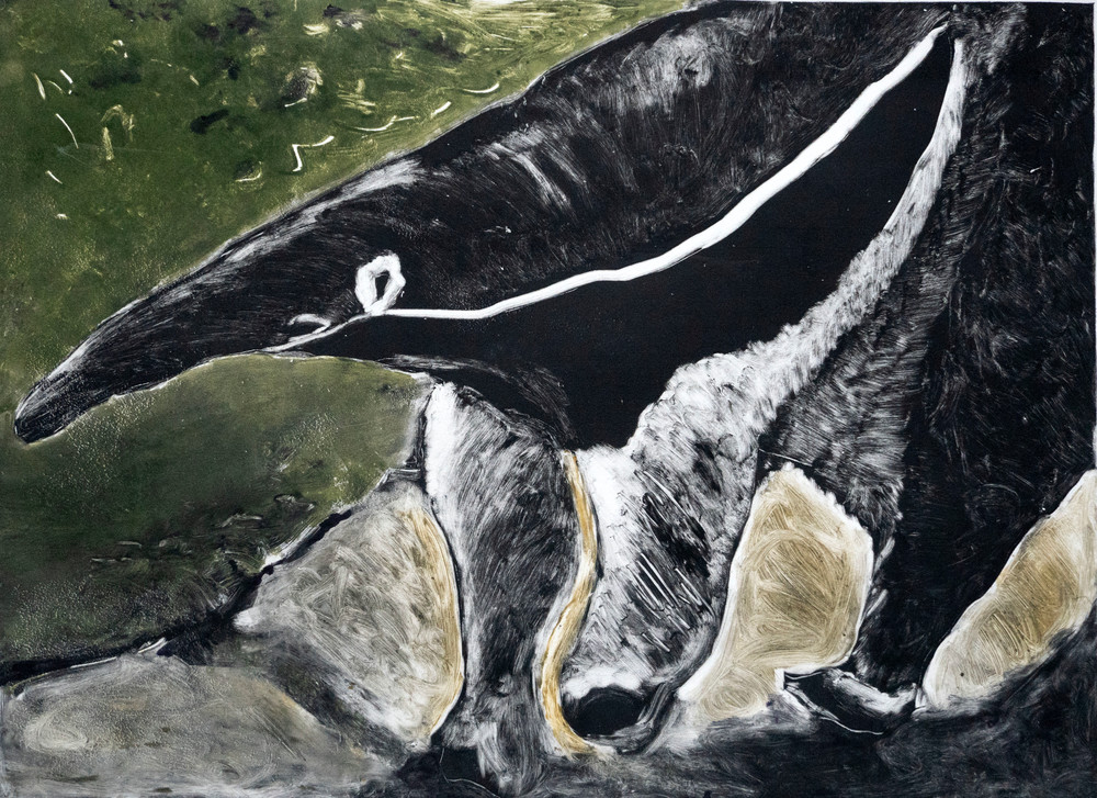 Anteater Walk Art | Artist Melinda Esparza