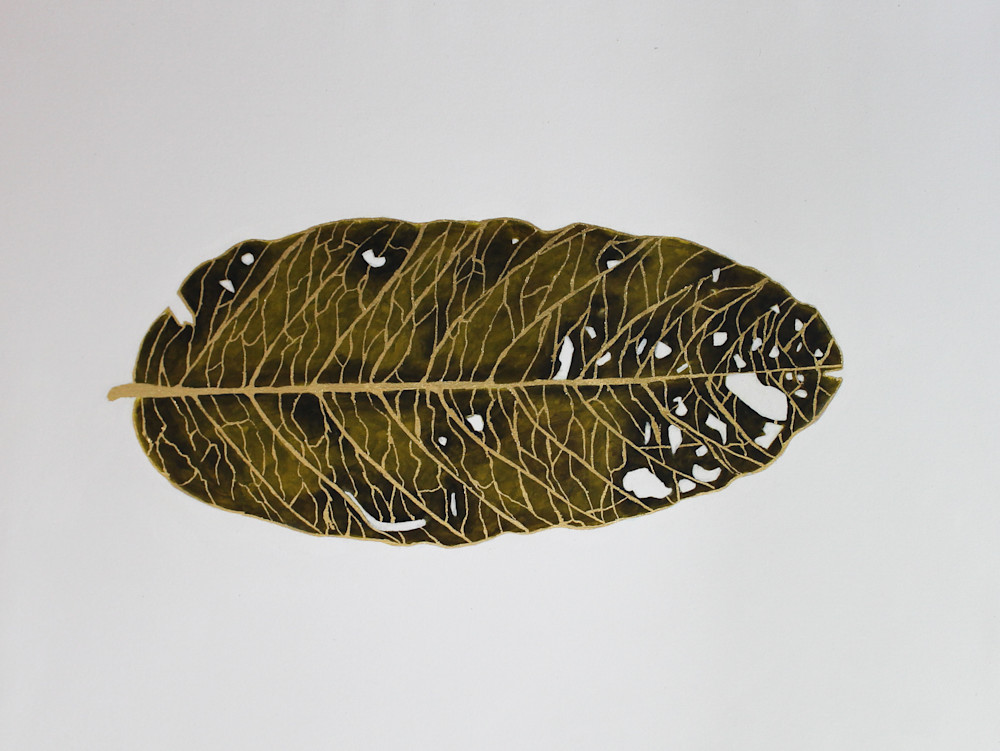 Fallen Leaf Art | Brad Marr