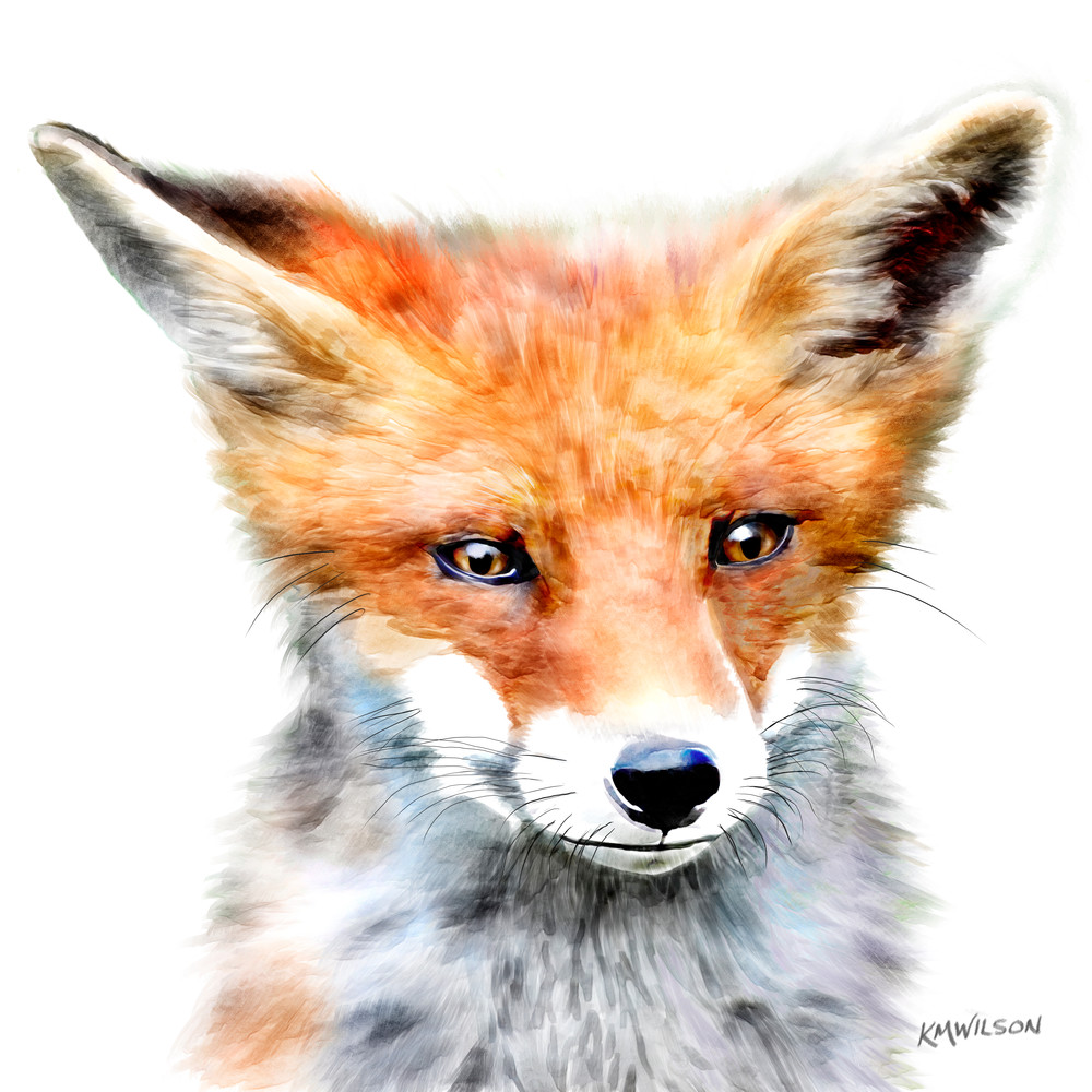 Sunny the Fox