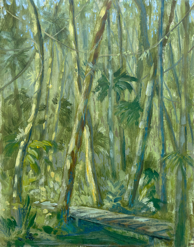 Queensland Rain Forest Art | Woven Lotus Art Gallery