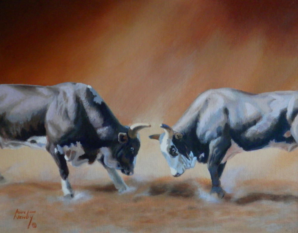 Evening Spar-bulls