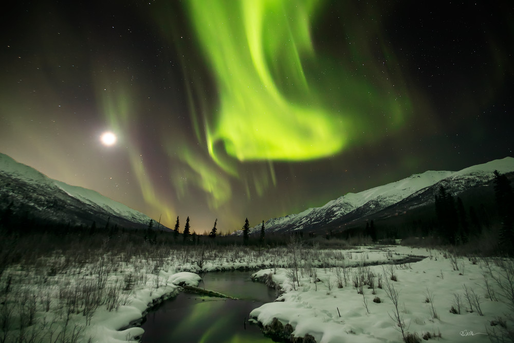 Auroras over Eagle River Nature Center