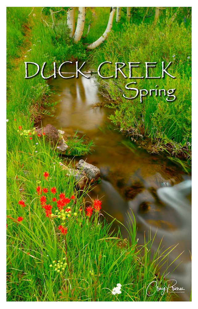 Duck Creek Spring Poster Photography Art | Craig Primas Photography