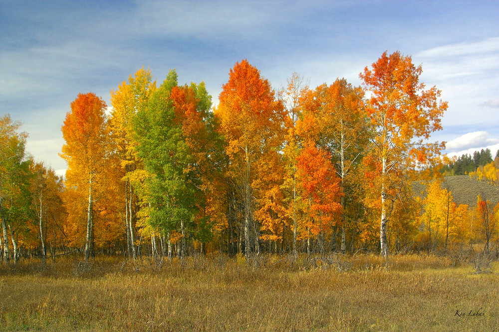 Autumn Colors Photography Art | Art Beyond Control