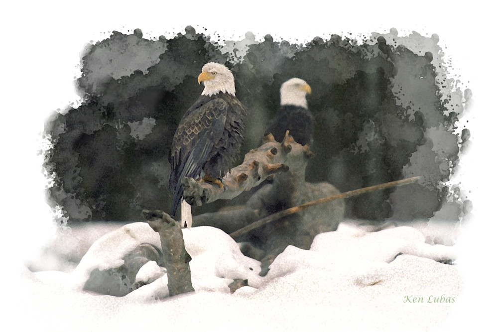 P AI R On River Photography Art | Art Beyond Control