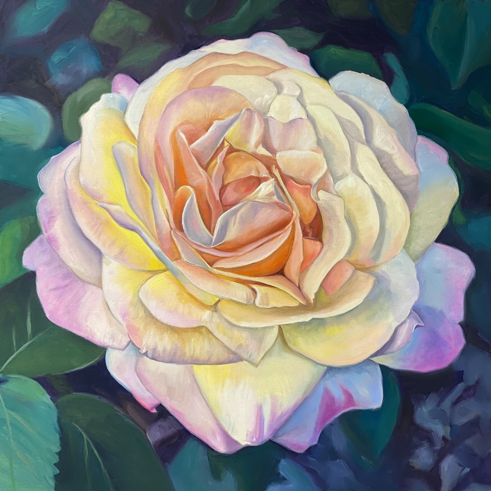 Peace Rose  Art | Jennifer Zardavets Art