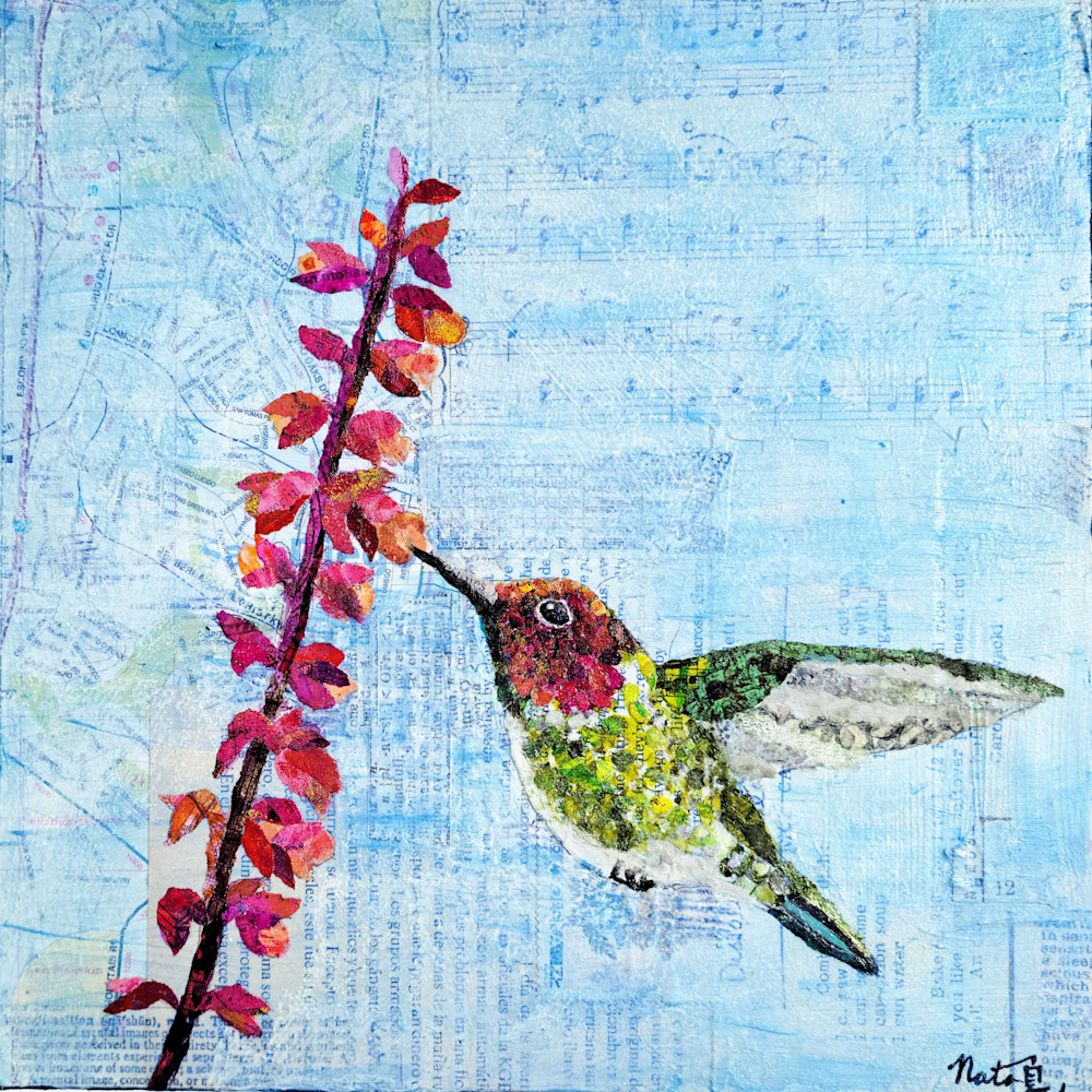 Backyard Birds: Mr. Anna's Hummingbird Art | Poppyfish Studio