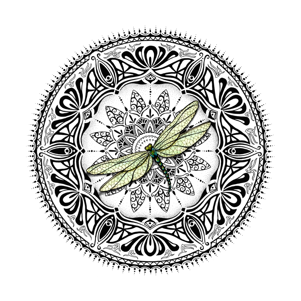 dragonfly mandala