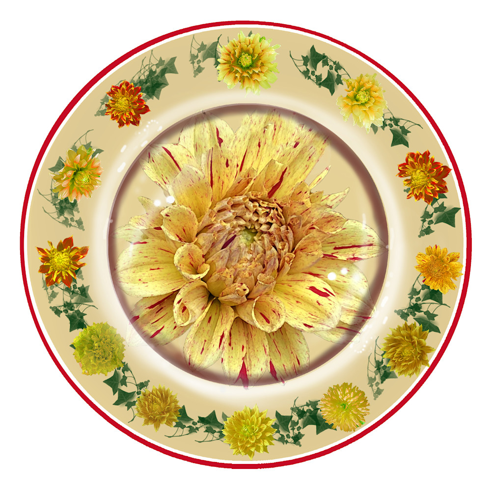 Red And Yellow Dahlia Plate  Art | Art from the Soul