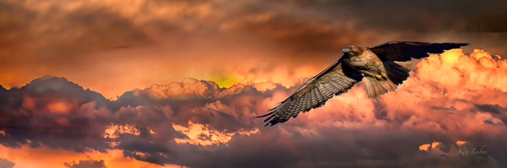 After The Storm Photography Art | Art Beyond Control