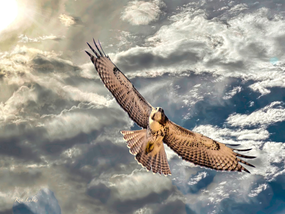 New Day Photography Art | Art Beyond Control