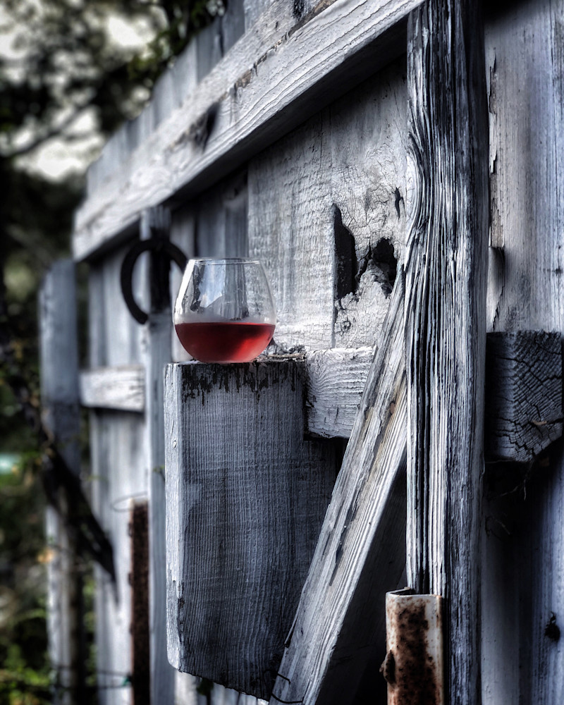 Fence Sitter Photography Art | Prince of Wine